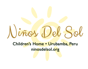 NDSLogo-300x234